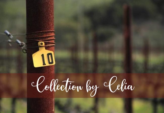 Collection by Celia